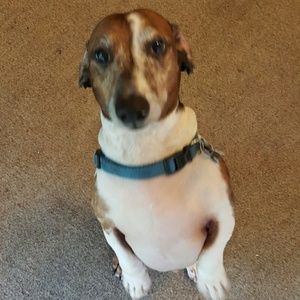 Meet your Posher, Terri